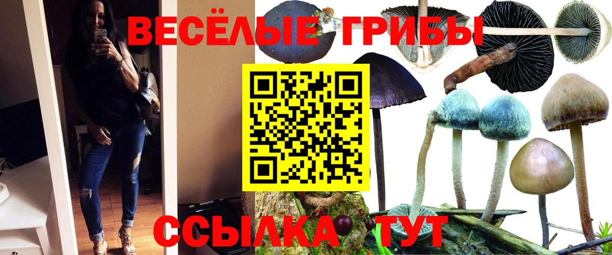 Изобильный  Псилоцибиновые грибы GOLDEN TEACHER  Вход с VPN 